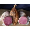 1/2 NOIX DE JAMBON SAVOIE NATURE